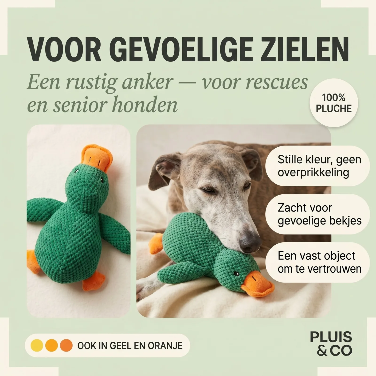 De Pluis Knuffel — De Groene — foto 2