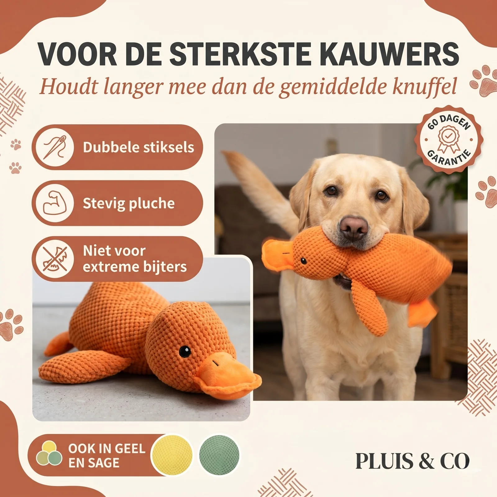 De Pluis Knuffel — De Oranje — foto 2