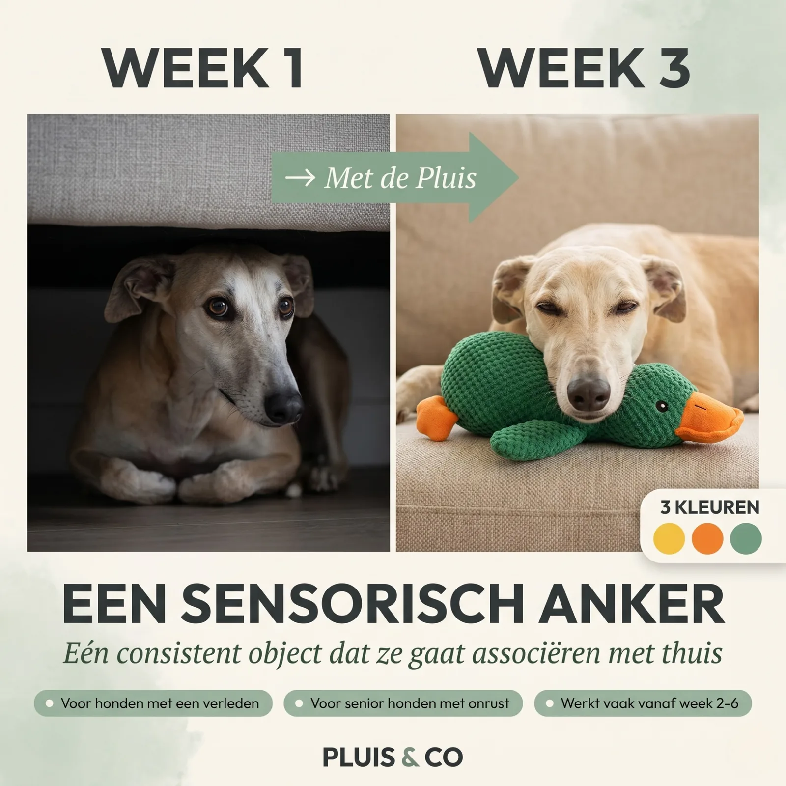 De Pluis Knuffel — De Groene — foto 3