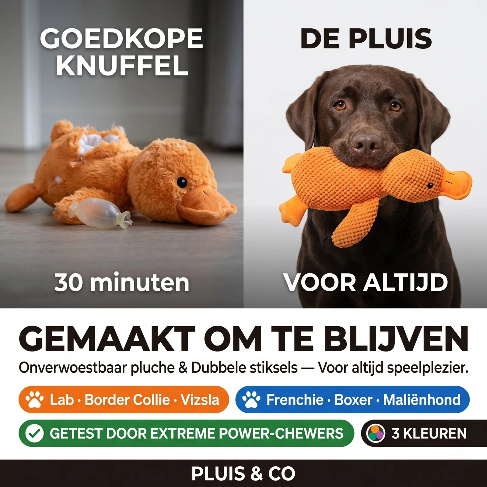 De Pluis Knuffel — De Oranje — foto 3