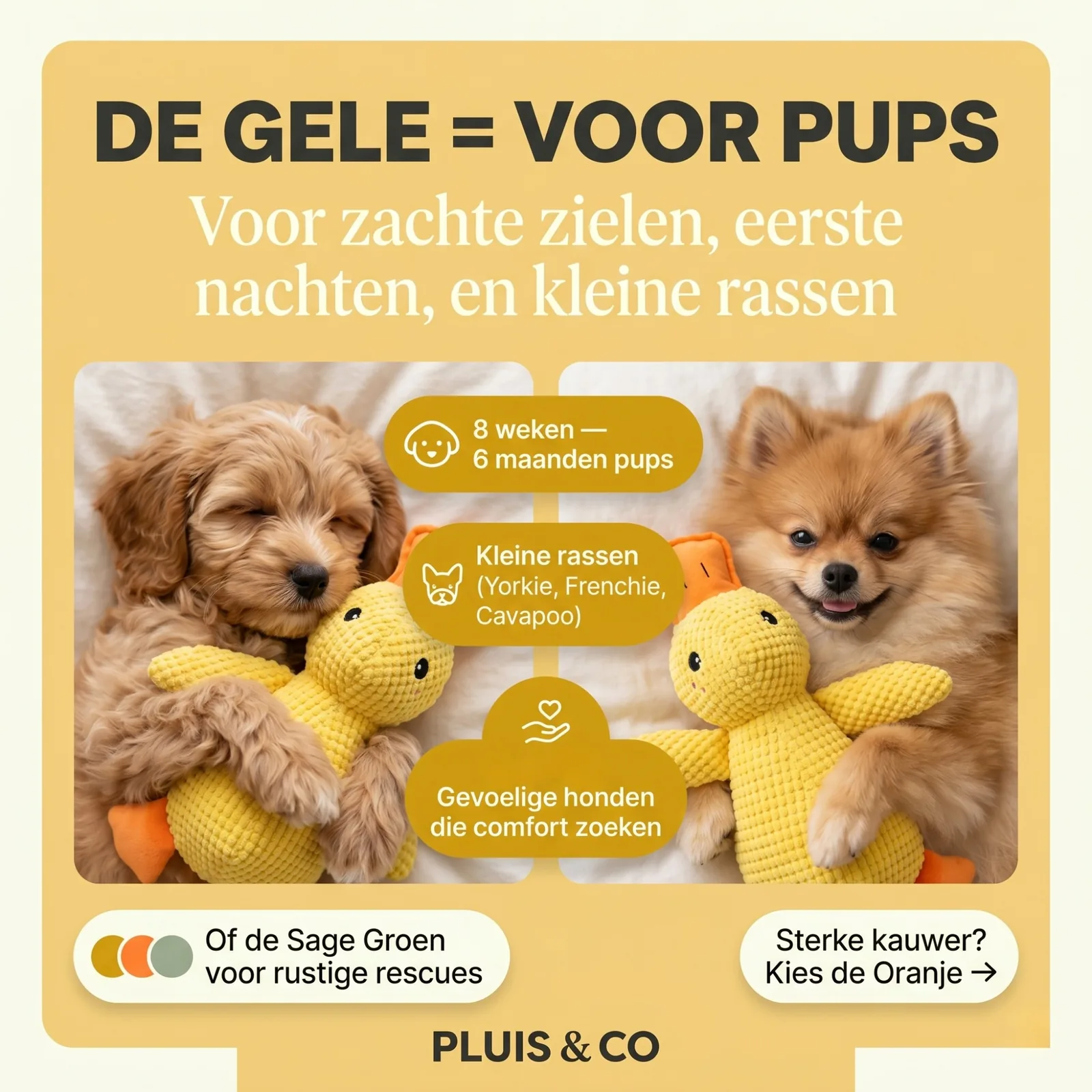 De Pluis Knuffel — De Gele — foto 5