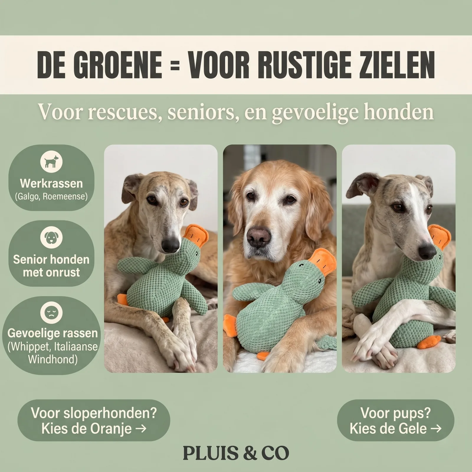 De Pluis Knuffel — De Groene — foto 5